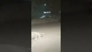 снегопад 2022 январь 7
