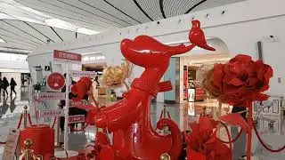 Аэропорт Дасин в Пекине. Самый большой аэропорт в мире. Транзитная зона. Апрель 2024 год.