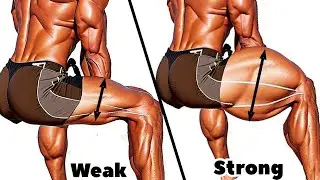 Best Legs Workout to Transform From Weak to Stronger Legs