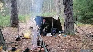 Поход в лес просто отдохнуть