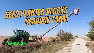 Seed Planter Blocks Peacock Farm, Peacock Minute, peafowl.com