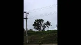 Fiji electric fire - kinoya