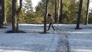 Полина гуляет в лесу часть 2 #@videoblooog