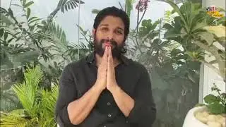 the Kashmir file per Allu Arjun