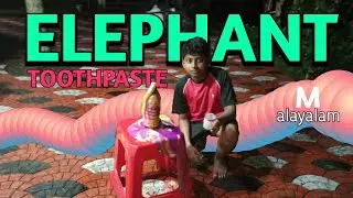 MAKING ELEPHANT TOOTHPASTE | MALAYALAM #experiment