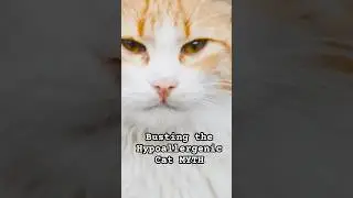 Busting the ‘Hypoallergenic Cat’ MYTH