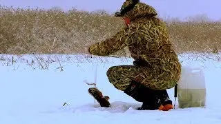 THERE WAS NO FISHING THIS BIT EVEN ON THE FIRST ICE!!! FISHING WITH TIP-UPS 2020!!! MAX HUNTER
