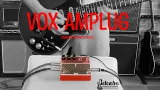 Amplug BM converted by Colombo Audio Electronics