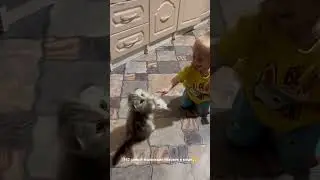 142 самый маленький человек в мире