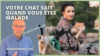VOTRE CHAT SAIT QUAND VOUS ÊTES MALADE