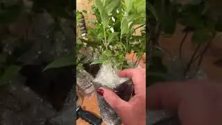 Упаковка на отправку.