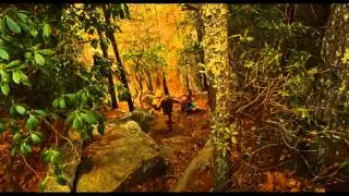 Moonrise Kingdom - Una fuga d'amore - Trailer Italiano Ufficiale HD