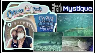 Ocean Park Hong Kong 🇭🇰 | Hong Kong vlog part 3