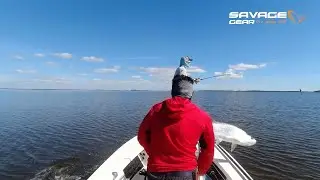 Savage Fishing
