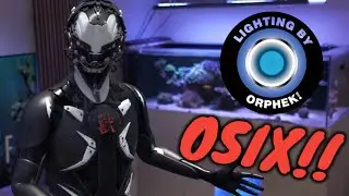 ORPHEK OSIX: REVOLUCIONARIO!! Mi experiencia de 6 meses al descubierto