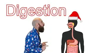 The Digestive System (Mariah Carey - All I Want for Christmas Is You parody)