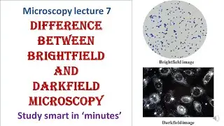 Differences between Bright-field and Dark-field microscopy | Microscopy lecture 7