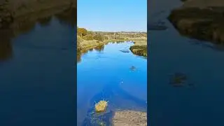 Just a beautiful river landscape, birds and horses...