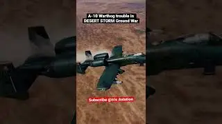 MOST TRAGIC MISSION OF DESERT STORM | A-10 WARTHOG 