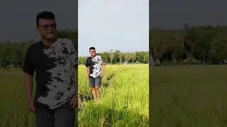 SORE DI SAWAH