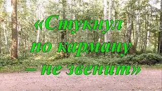 Стукнул по карману - не звенит (Рубцов в Приютино. Фильм второй)