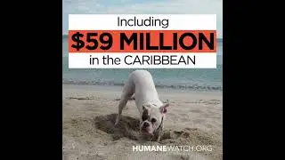 What Every Donor Should Know About The Humane Society of the United States