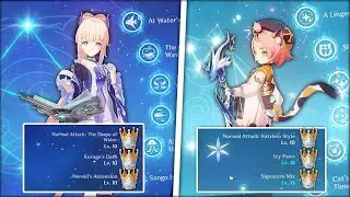 I found the most cursed genshin builds...