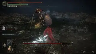 ELDEN RING_malenia blade of miquella bossfight