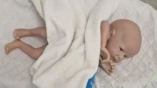 ¡Cachitos Reborn está emitiendo en directo!