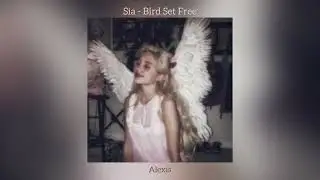 Sia - Bird Set Free (speed up version)