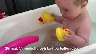 Maj-juni 2018