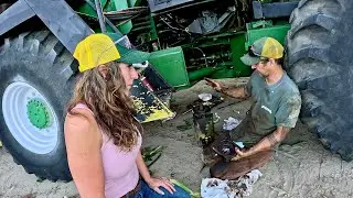 Break down 12 Hrs before first Sweet Corn Harvest