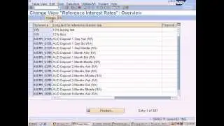 sap trm configuration define reference interest rates