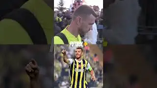 Fenerbahçe taraftarından Edin Dzeko'ya özel ilgi!