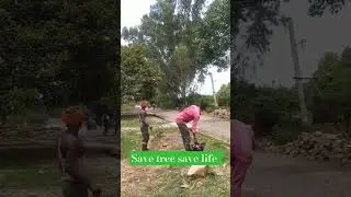 nature is life | save tree save life | save  earth #saveearth #savetrees #naturelover