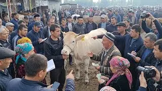MARHAMAT MOL BOZORI ODAM JUDA KOʻP