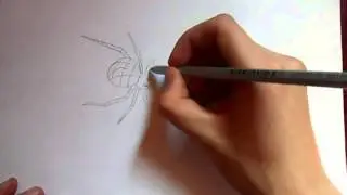 Видео: как нарисовать паука?