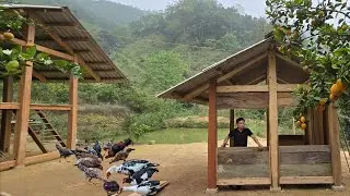 The young man abandoned city life and went into the forest to grow vegetables, raise chickens, 