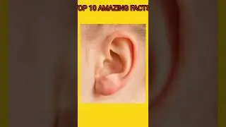 TOP 10 Amazing facts l random facts l #Shorts