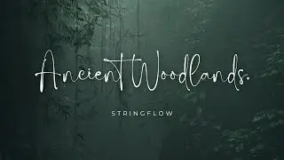 Stringflow - ancient woodlands.