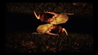 Ultraligera - Nunca Nadie (Videoclip Oficial)