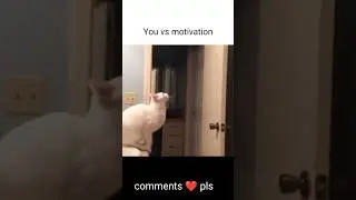 You vs motivation