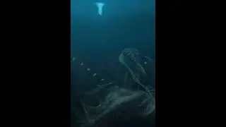 Боязнь ГЛУБИНЫ