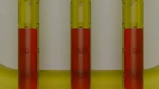 Microfluidic Chip with Liquid Flow