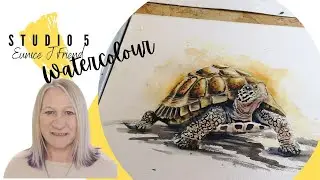 Watch how Gonzales the tortoise came to life in watercolour