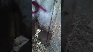 Зона конфликта в архитектуре которая вызывает когнитивныи дис. И дает результат негатив. От 2019г
