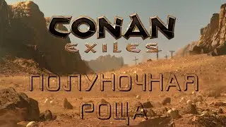 ⭐ ПОЛУНОЧНАЯ РОЩА ⭐ ПРОДОЛЖАЕМ ПУТЕШЕСТВОВАТЬ С 