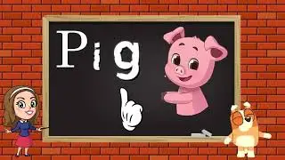 Three letter words for Kindergarten/Introduction to words/Phonics for kids/A to Z Three letter words