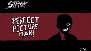 Stroy - Perfect Picture Man