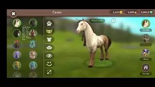 Обмен аккаунта wildcraft ( чит опис)